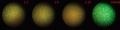 Thumbnail for version as of 16:48, 21 February 2012