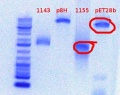 Thumbnail for version as of 15:36, 6 June 2012
