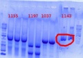 Thumbnail for version as of 17:33, 6 June 2012