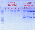 Thumbnail for version as of 08:12, 11 October 2012