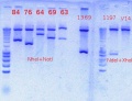 Thumbnail for version as of 14:04, 20 September 2012