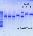 Thumbnail for version as of 16:26, 27 March 2015