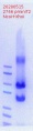 Thumbnail for version as of 11:46, 15 May 2020