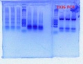 Thumbnail for version as of 15:37, 2 April 2012