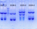 Thumbnail for version as of 15:20, 12 June 2014