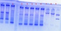 Thumbnail for version as of 14:51, 29 July 2011
