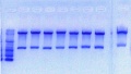 Thumbnail for version as of 22:04, 5 June 2012