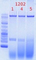 Thumbnail for version as of 15:22, 29 May 2012