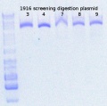 Thumbnail for version as of 17:26, 13 March 2015