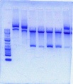 Thumbnail for version as of 22:04, 5 June 2012