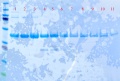 Thumbnail for version as of 15:18, 21 December 2011