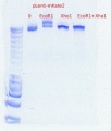 Thumbnail for version as of 09:13, 23 September 2011