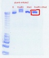 Thumbnail for version as of 09:20, 23 September 2011