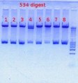 Thumbnail for version as of 13:25, 20 April 2012