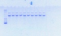 Thumbnail for version as of 11:18, 24 August 2016
