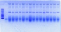Thumbnail for version as of 14:37, 30 May 2012