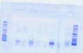 Thumbnail for version as of 11:48, 30 May 2012