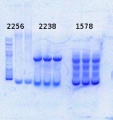 Thumbnail for version as of 14:13, 8 August 2014