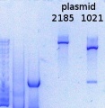 Thumbnail for version as of 17:13, 4 May 2015