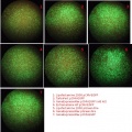 Thumbnail for version as of 13:16, 23 June 2012