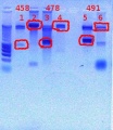Thumbnail for version as of 09:44, 19 December 2011