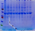 Thumbnail for version as of 17:12, 18 March 2011