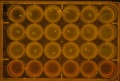 Thumbnail for version as of 12:04, 6 July 2016