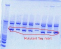 Thumbnail for version as of 14:15, 24 October 2011