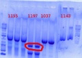 Thumbnail for version as of 17:34, 6 June 2012