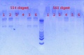Thumbnail for version as of 16:13, 20 February 2013