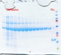 Thumbnail for version as of 13:32, 5 November 2012