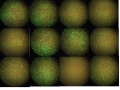 Thumbnail for version as of 09:46, 15 April 2011