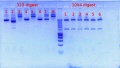 Thumbnail for version as of 13:29, 10 February 2012