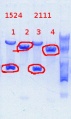 Thumbnail for version as of 09:49, 14 March 2014