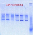 Thumbnail for version as of 10:01, 17 July 2012