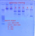 Thumbnail for version as of 16:39, 24 October 2011