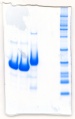 Thumbnail for version as of 12:32, 18 July 2019