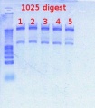 Thumbnail for version as of 16:03, 26 March 2012