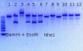 Thumbnail for version as of 13:14, 12 June 2012