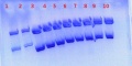 Thumbnail for version as of 11:55, 18 August 2011