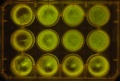 Thumbnail for version as of 10:13, 13 January 2012