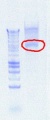 Thumbnail for version as of 15:37, 26 July 2012