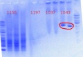 Thumbnail for version as of 14:42, 6 June 2012