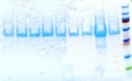 Thumbnail for version as of 14:44, 25 July 2011