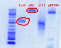 Thumbnail for version as of 15:36, 6 June 2012