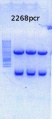 Thumbnail for version as of 15:49, 9 July 2014