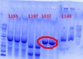 Thumbnail for version as of 17:33, 6 June 2012