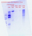 Thumbnail for version as of 14:49, 3 June 2020