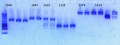 Thumbnail for version as of 17:15, 9 January 2013