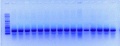 Thumbnail for version as of 22:25, 4 June 2012